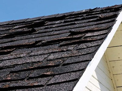 Robbie Little Roofing Images
