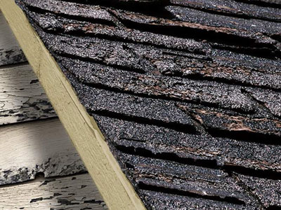Robbie Little Roofing Images