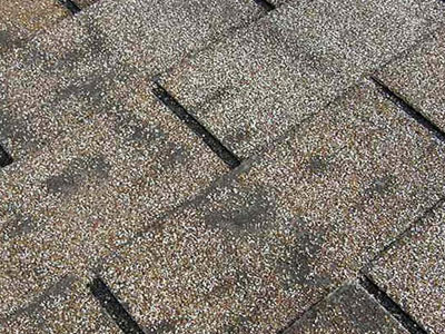 Robbie Little Roofing Images