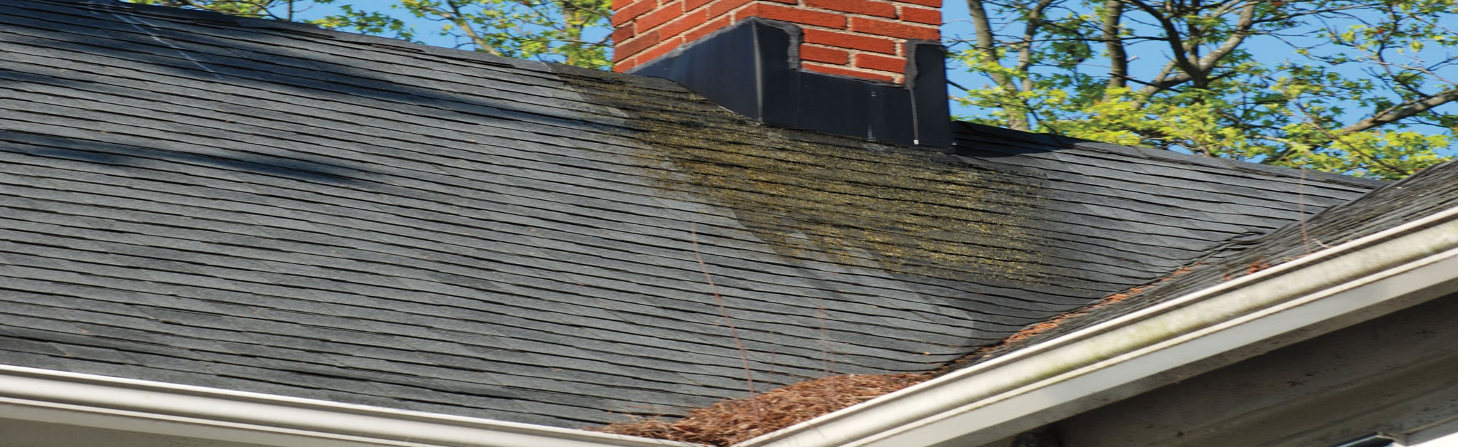 Robbie Little Roofing Images